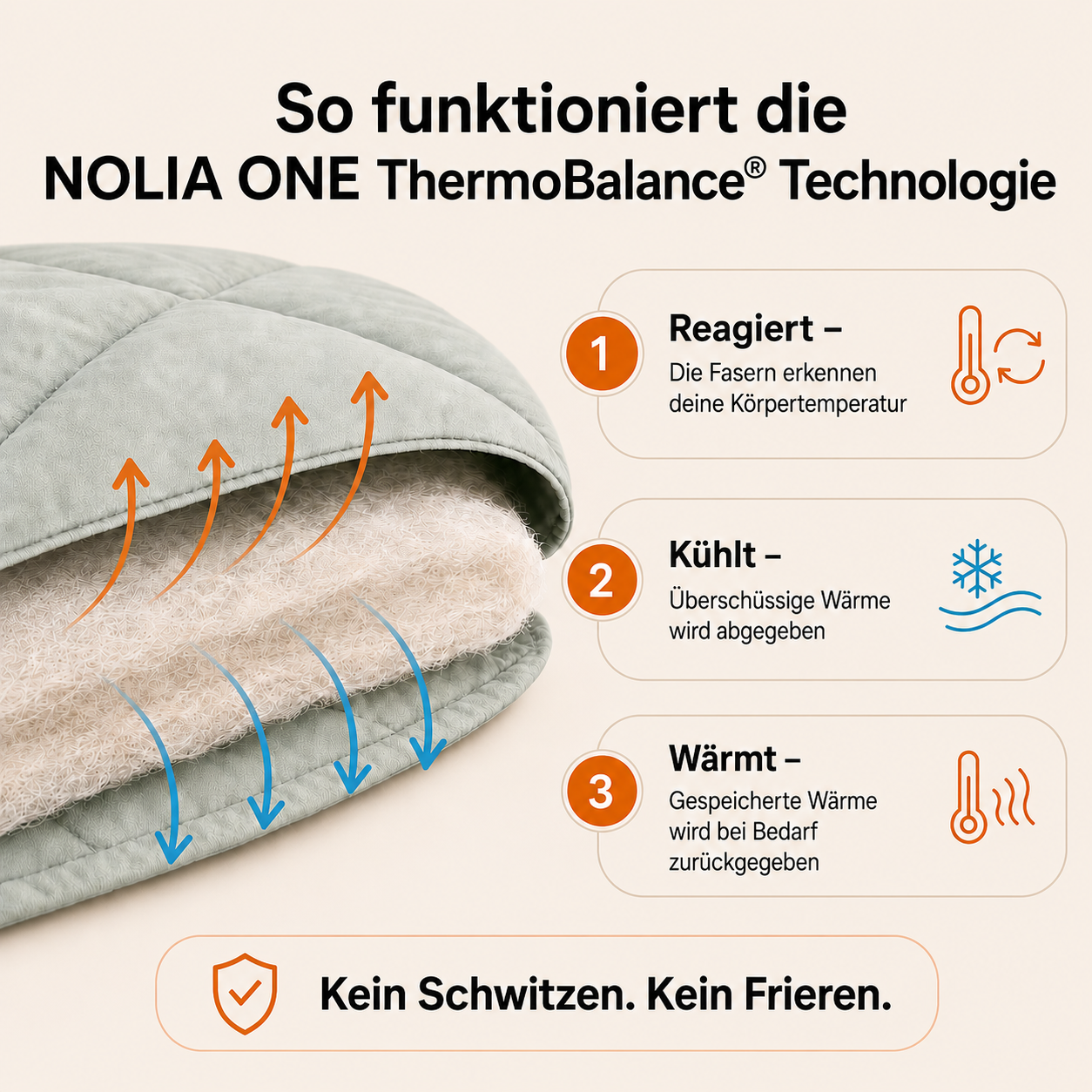 NOLIA ONE