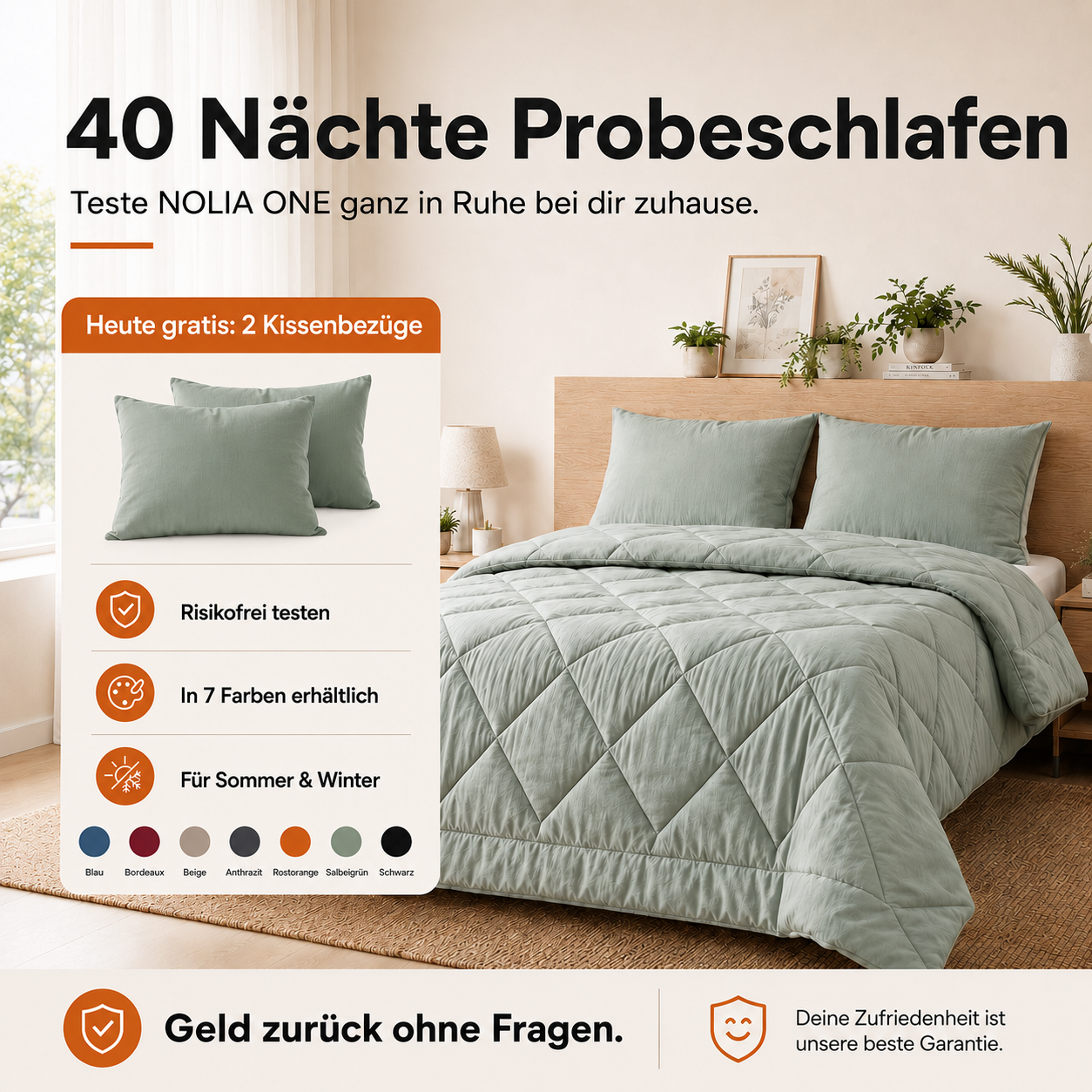 NOLIA ONE